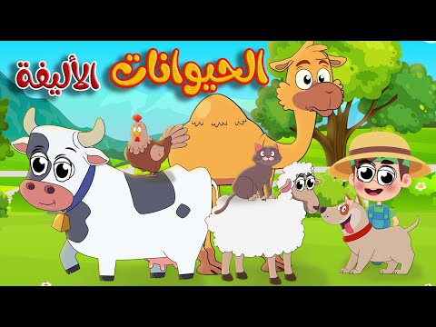أنشودة الحيوانات الأليفة  للأطفال عربي – انجليزي   | قناة طم طم