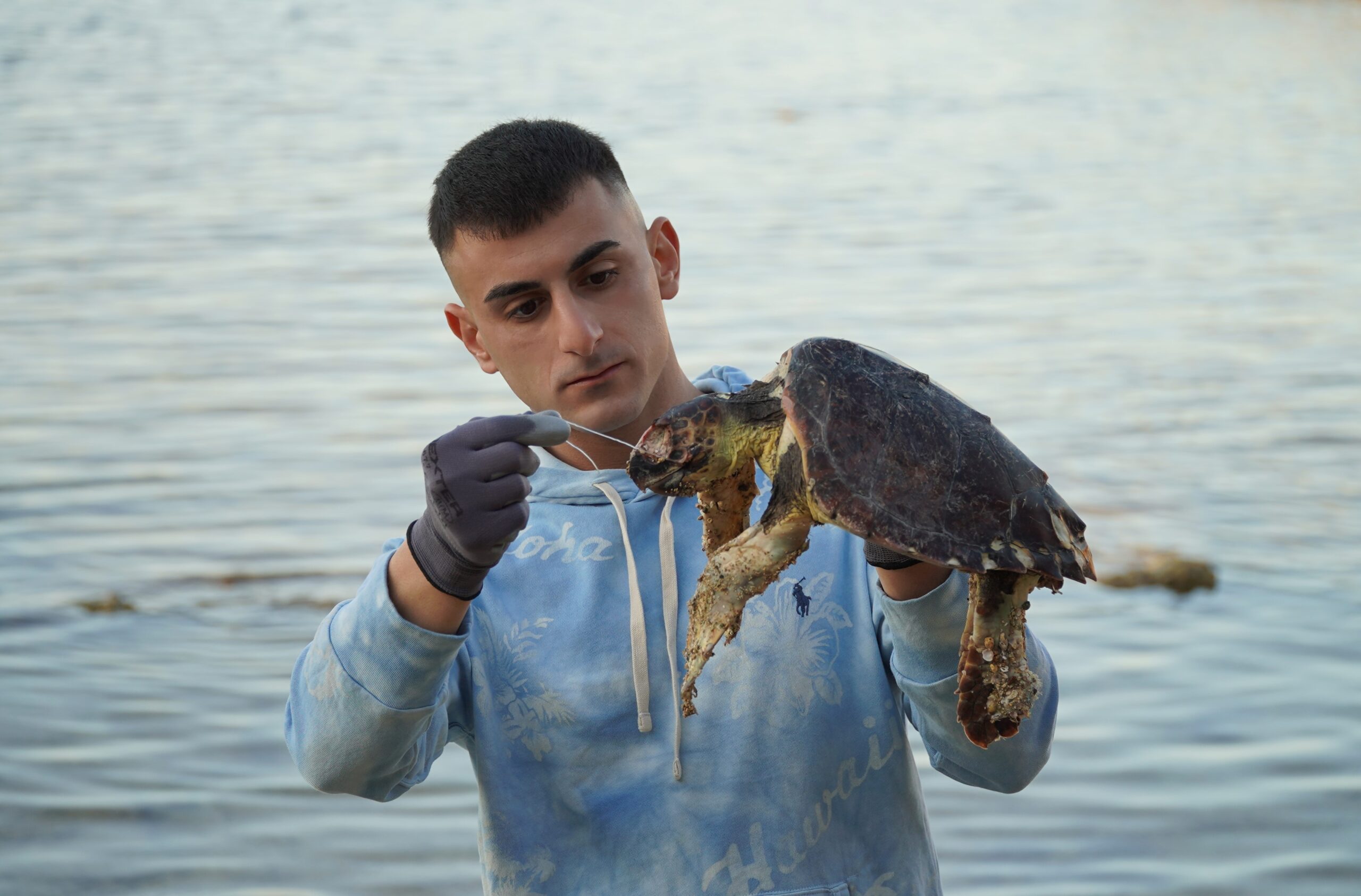 Sebastian Colnaghi, nominato da Legambiente ambasciatore del progetto “Tartalove” a difesa delle tartarughe marine